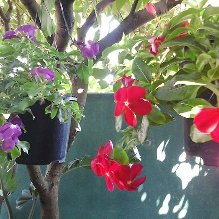 House Of Esanya Bed & Breakfast Negombo Exterior photo
