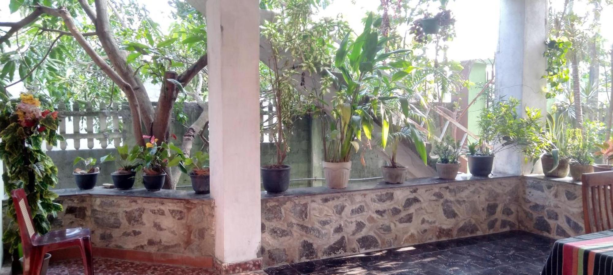 House Of Esanya Bed & Breakfast Negombo Exterior photo