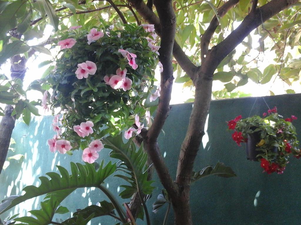 House Of Esanya Bed & Breakfast Negombo Exterior photo
