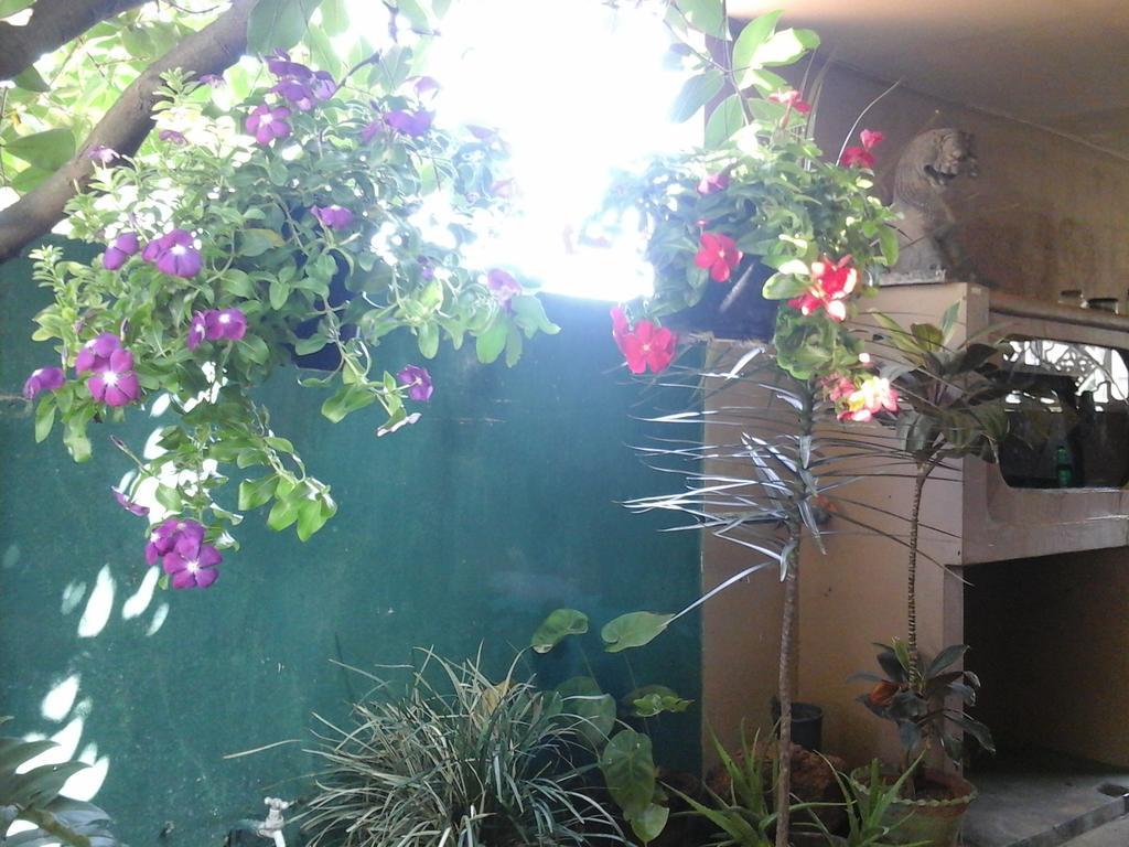House Of Esanya Bed & Breakfast Negombo Exterior photo