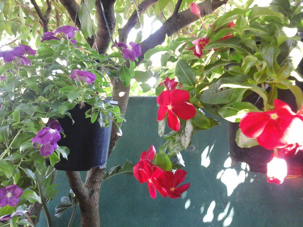House Of Esanya Bed & Breakfast Negombo Exterior photo